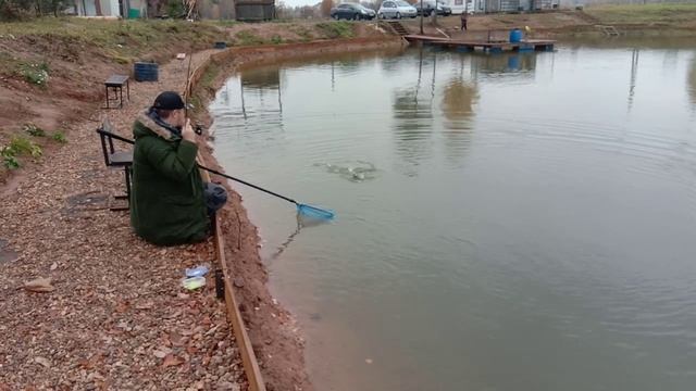Поимка форели на резину. РЫБАЛКА В ДУРЫКИНО смотреть онлайн