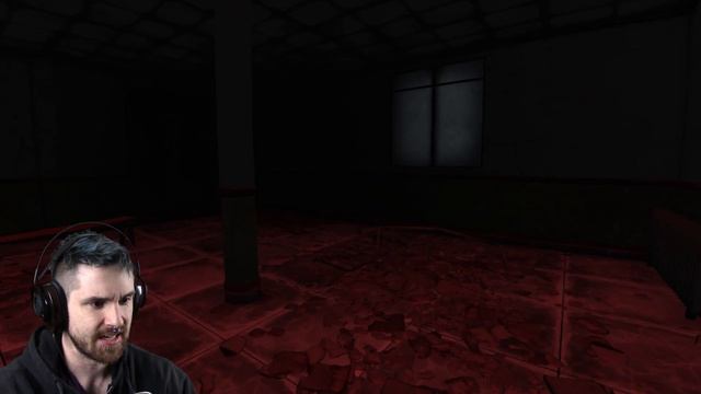 Inside Before Birth: EXCELLENT INDIE HORROR! | SomeGuyDude смотреть онлайн