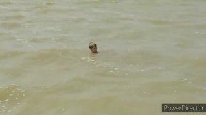 Чумбур-коса Азовское море. Отдых с детьми на пляже.