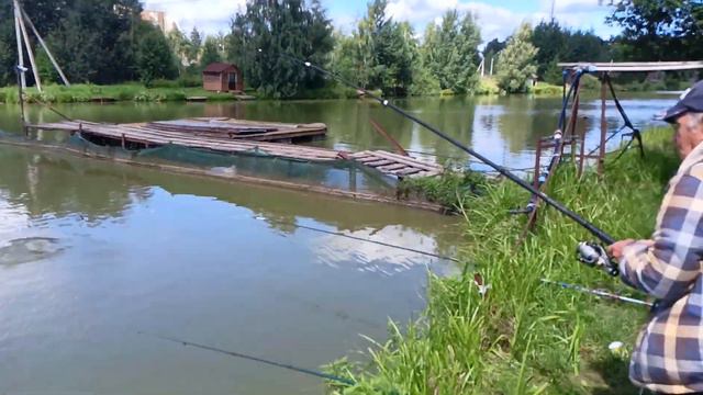 Светлые Горы Щука. 20.07.23 смотреть онлайн