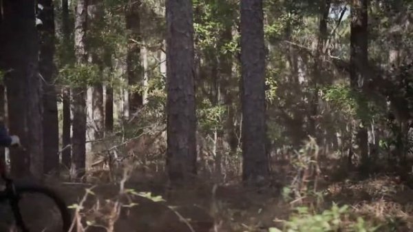 2018 Mongoose 27.5 Montana Comp