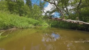 Пролет на дроне над речкой, лето