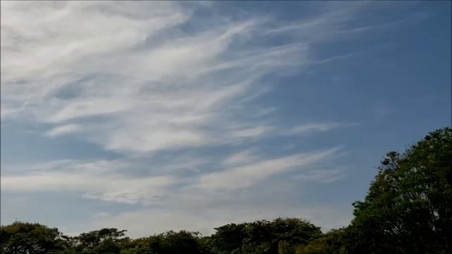 Miles Davis (feat. John Scofield, Bill Evans, Darryl Jones, Al Foster & Mino Cinelu), Paris (1983) смотреть онлайн