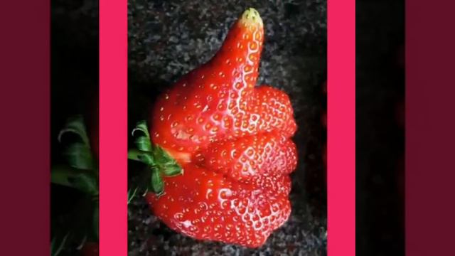 11 августа 2021 г. смотреть онлайн