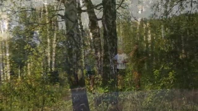 Новосибирск. Биатлон. Август 2014 смотреть онлайн