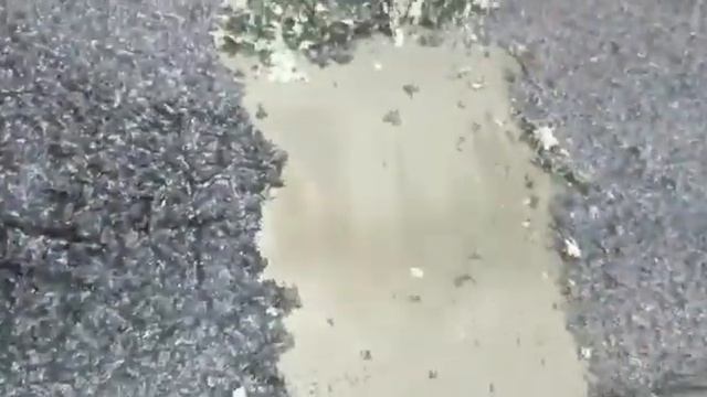 Удаление лакокрасочного покрытия краски с двери смотреть онлайн