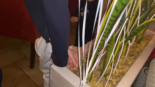 Варюшка в Ресторане ЧО ЧО 14.02.2021 смотреть онлайн