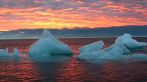 Северный Ледовитый океан - Интересные факты