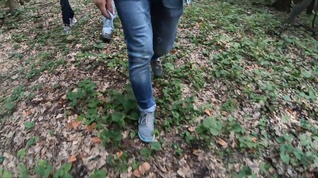 Поход из Печенегов в Черный лес (заказник 