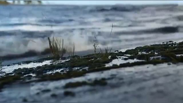 ЛЕКАРИ, ПАСТЫРИ И УТЕШИТЕЛИ - НЕБЕСНЫЕ ПОКРОВИТЕЛИ смотреть онлайн