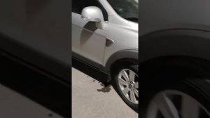 Честный авто "Каптива 3,2 2008"