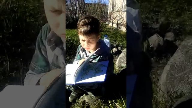 Рассказ о книге Виталия Бианки 