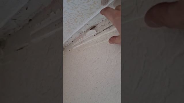 Всегда доводите отделку стен до потолка, благодоря этому, опуск потолка будет минимальным. смотреть онлайн