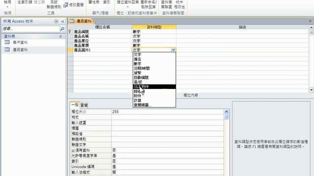 【Access 資料庫教學】11 增加OLE物件欄位與附件欄位 смотреть онлайн