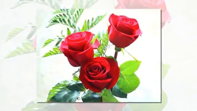 С днем рождения Людмила! смотреть онлайн