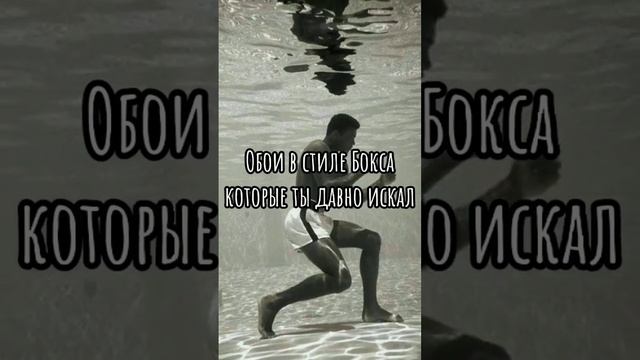 #бокс #обои смотреть онлайн