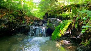 The best top music for relaxing sleep and meditation. Лучшая топовая музыка для релаксации сна.