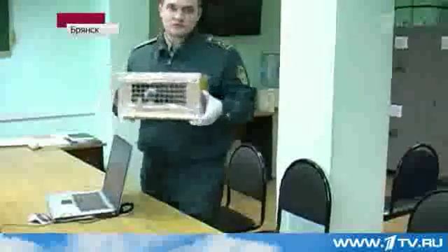 Брянские Таможенники Задержали На Границе Более Сотни Саламандр смотреть онлайн