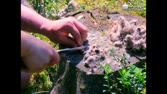 Лесные тесты - нож Alpha Aus 8 S от Kizlyar Supreme смотреть онлайн