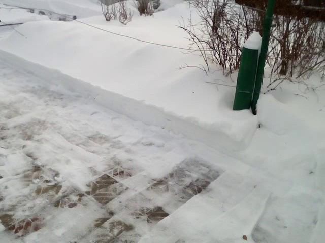 Результат работы электролопаты Техас 1300 на даче смотреть онлайн