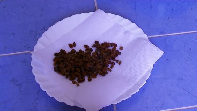 Маковая начинка для пирогов, булочек, рулетов смотреть онлайн