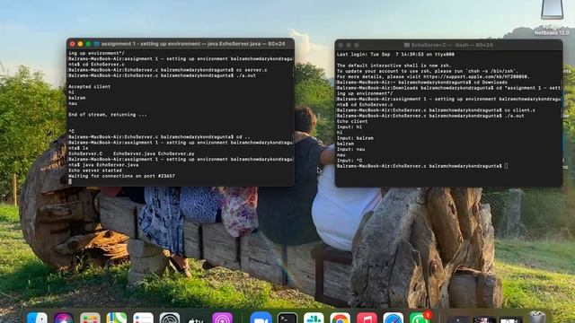 client server connection establishment using c, java ,python смотреть онлайн