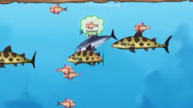 Feeding Frenzy 2 shipwreck showdown | PC смотреть онлайн