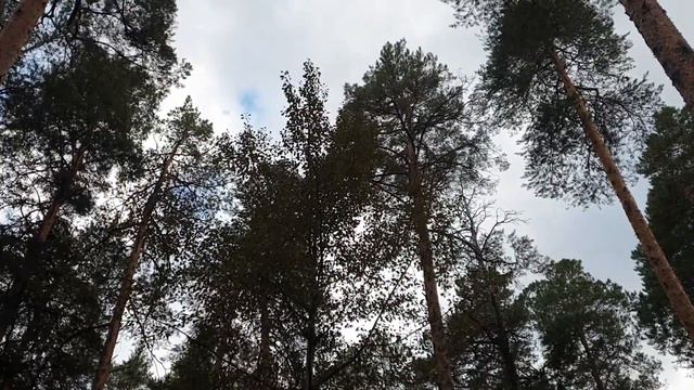 Желтый вертолет над тропой здоровья г. Нефтекамск смотреть онлайн