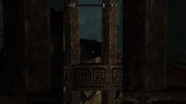 Цири в скайриме || Skyrim: как создать Цири #shorts смотреть онлайн
