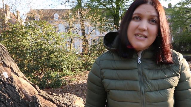 Переезд в НИДЕРЛАНДЫ смотреть онлайн