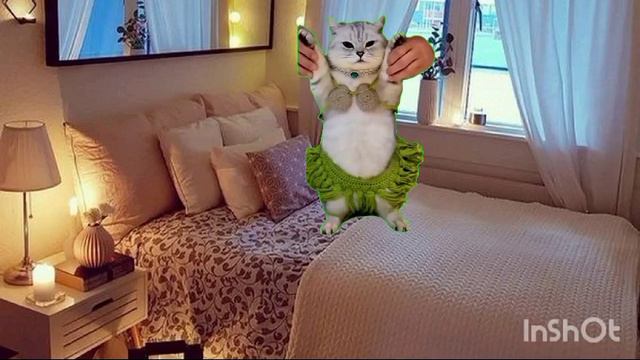 я в 3 часа ночи😴🌙✨💋