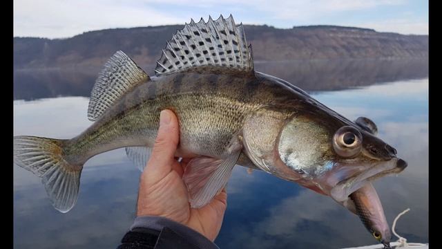 Днестр 2019 Судаки на силикон смотреть онлайн