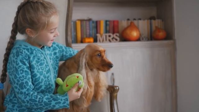 Топ 10 Собак Для Спецназа смотреть онлайн