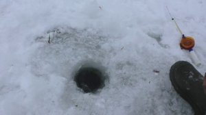 Ловля на мормышку на течении -3