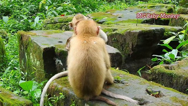 What are you talking girl? Baby Candy hard talk asking Calvin warm hug her not interested hug Sovan смотреть онлайн