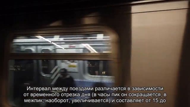Электрички из Санкт-Петербурга в Петергоф: как доехать, расписание и цены смотреть онлайн