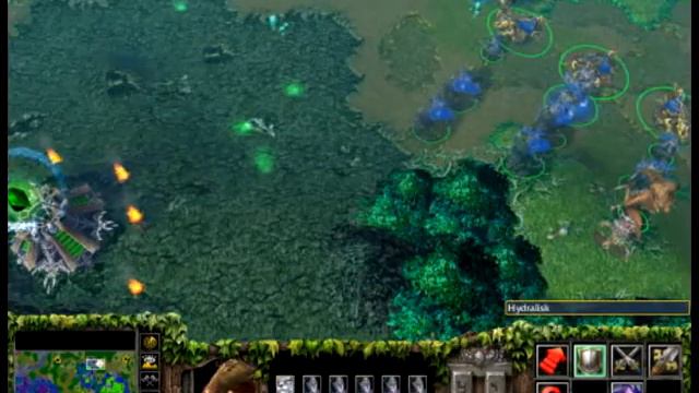 Warcraft III Hydralisk смотреть онлайн