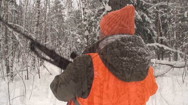 Закриття полювання на копитних. Част 2 | Трофейне Полювання №65 смотреть онлайн