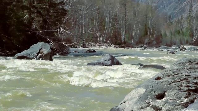 Школа каякинга RiverZoo. Весна на Чуе смотреть онлайн