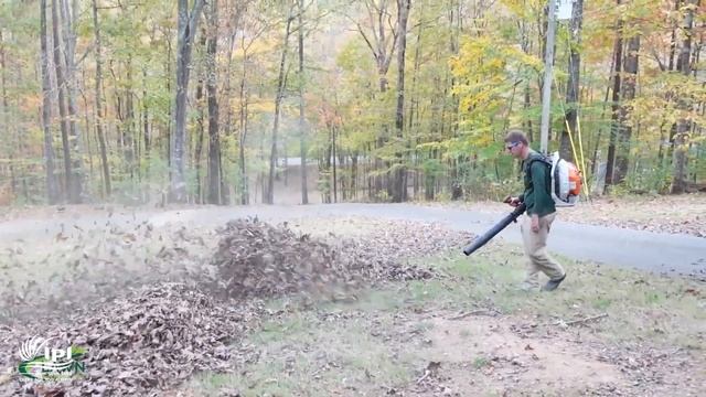 Backpack Blower BR 600 STIHL | Powerful and fuel-efficient, low-emission engine | India смотреть онлайн