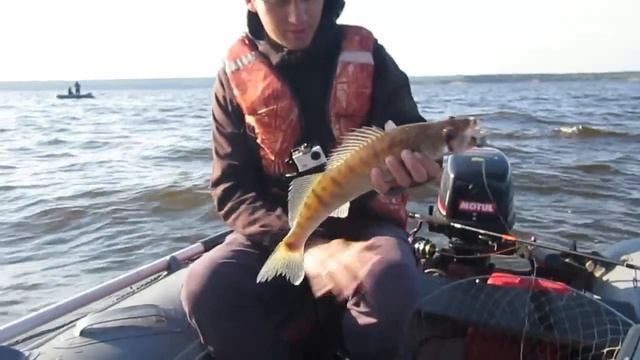 Большая рыбалка с друзьями на р.Ветлуга Боровская, Марий Эл смотреть онлайн