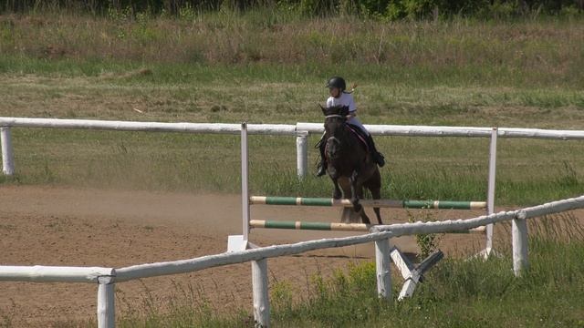 H2320018 смотреть онлайн