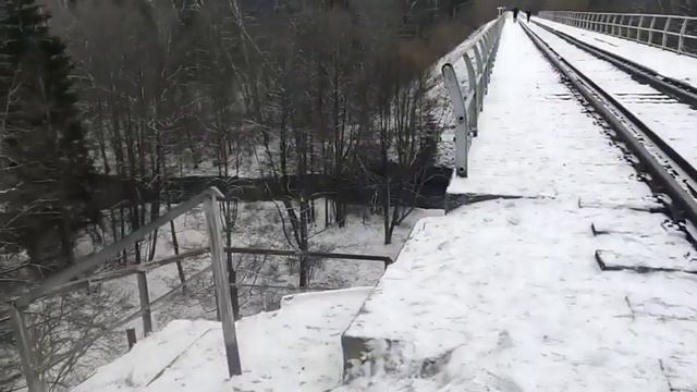 В лес на Рождество смотреть онлайн