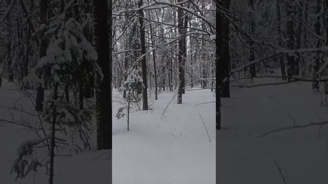 Карма человека, возомнившего себя Богом. Только так исполняются желания. Враги лучшие учителя.