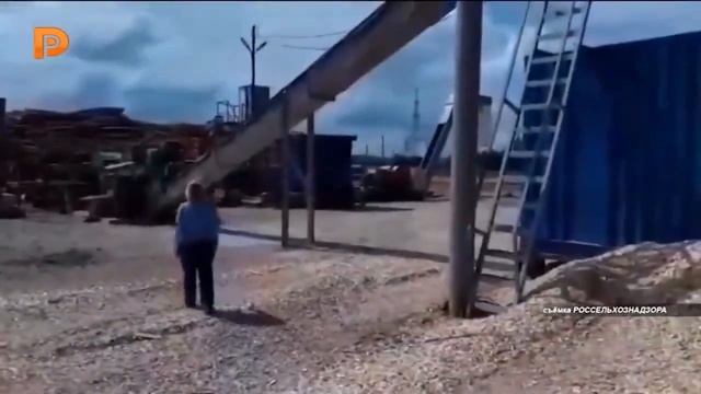 Россельхознадзор на территории Костромской области выявляет карантинные виды жуков в древесине смотреть онлайн