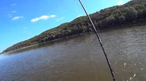 Silver Creek 0 в условиях мелководного переката