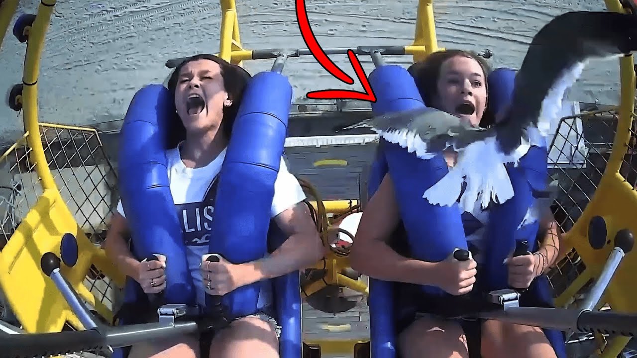 ШАНС СНЯТЬ ЭТО 1 НА МИЛЛИОН!