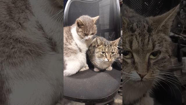 Если замерз нос смотреть онлайн