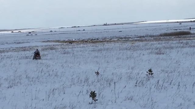 снегоход brp lynx adventure 900 ace смотреть онлайн