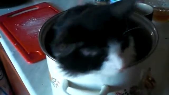 Помощник повара. смотреть онлайн